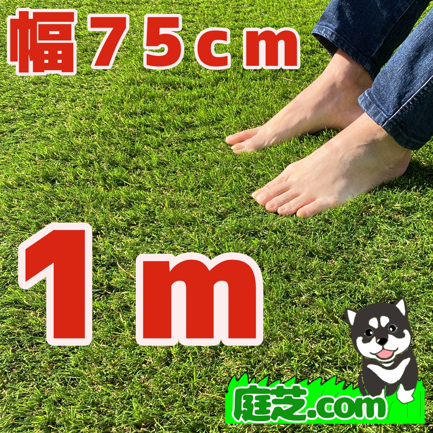 2枚以上で全国送料無料】人工芝 庭芝 premium 75cm×1m | 庭芝ドットコム